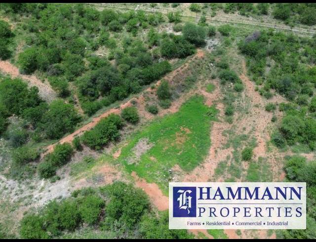 FARM FOR SALE IN MUSINA